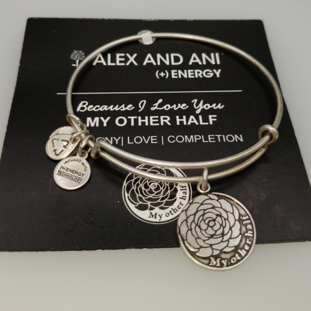 NWT Alex and Ani my other half bangle